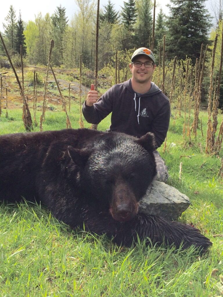 elk-valley-bighorn-game-Bears-IMG_1893-2000px-c82