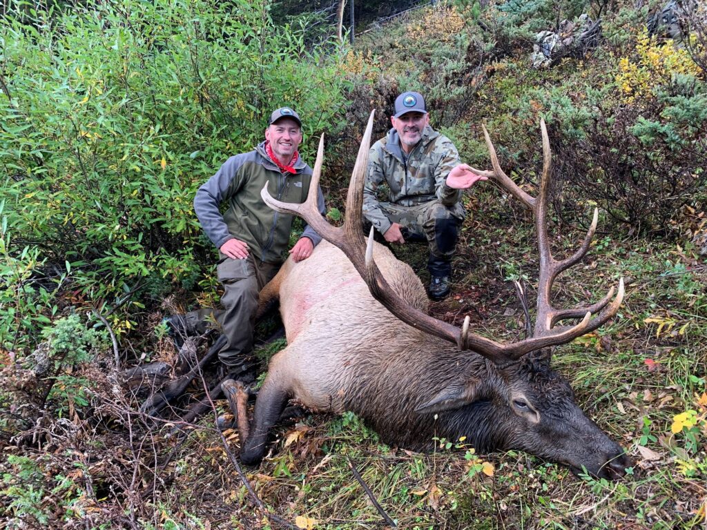 elk-valley-bighorn-game-Elk-Kyles Elk-2000px-c82