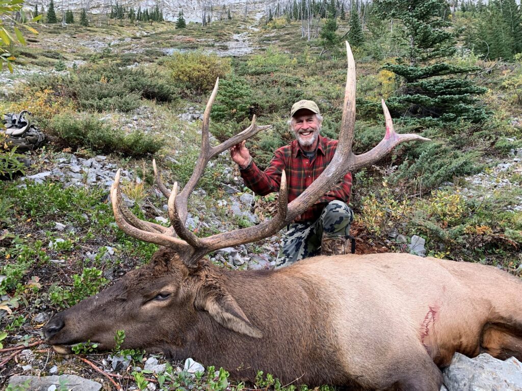 elk-valley-bighorn-game-Elk-Paul L 2-2000px-c82.jpg