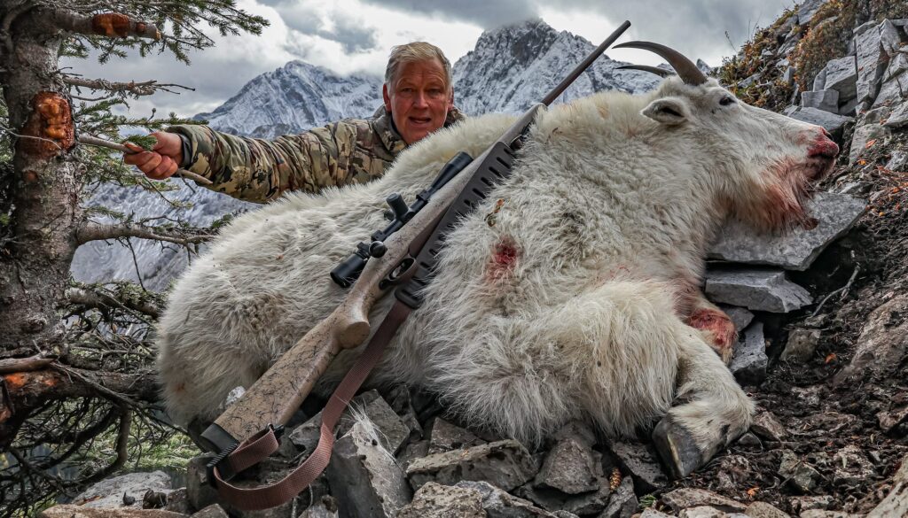 elk-valley-bighorn-game-Goats-2A3A1112 (1)-2000px-c82