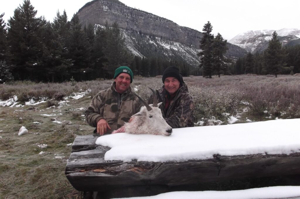 elk-valley-bighorn-game-Goats-DSCF3214-2000px-c82