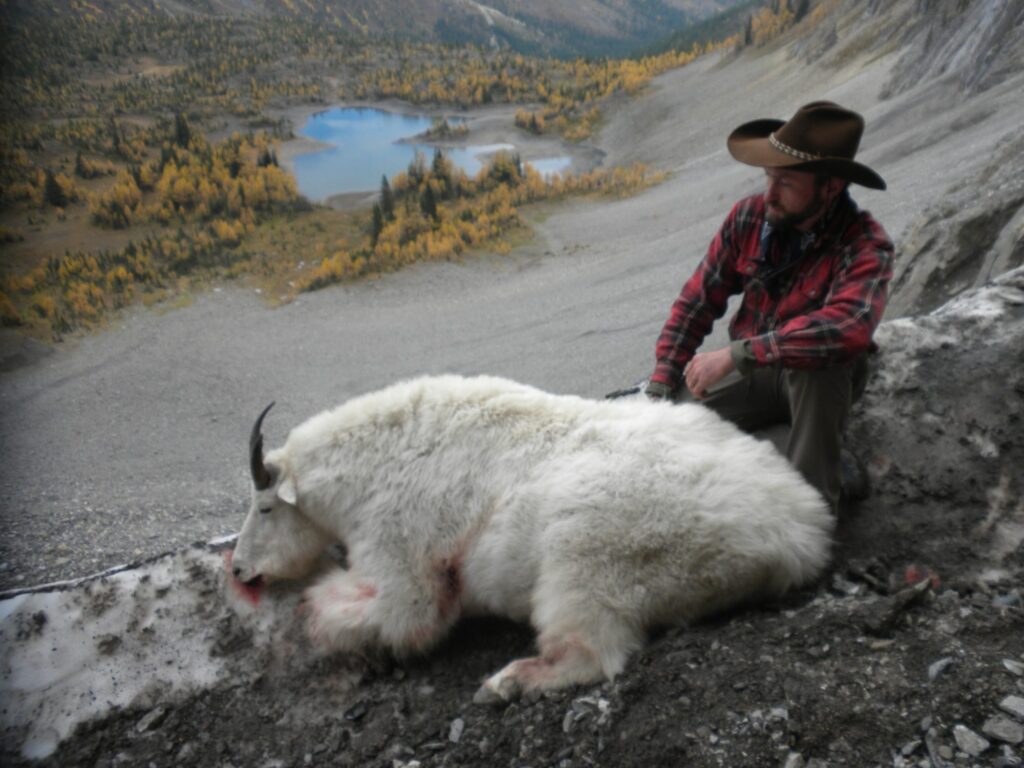 elk-valley-bighorn-game-Goats-DSCN1555-2000px-c82