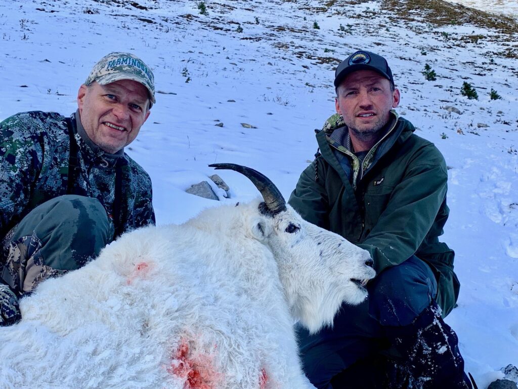 elk-valley-bighorn-game-Goats-IMG_0955-2000px-c82