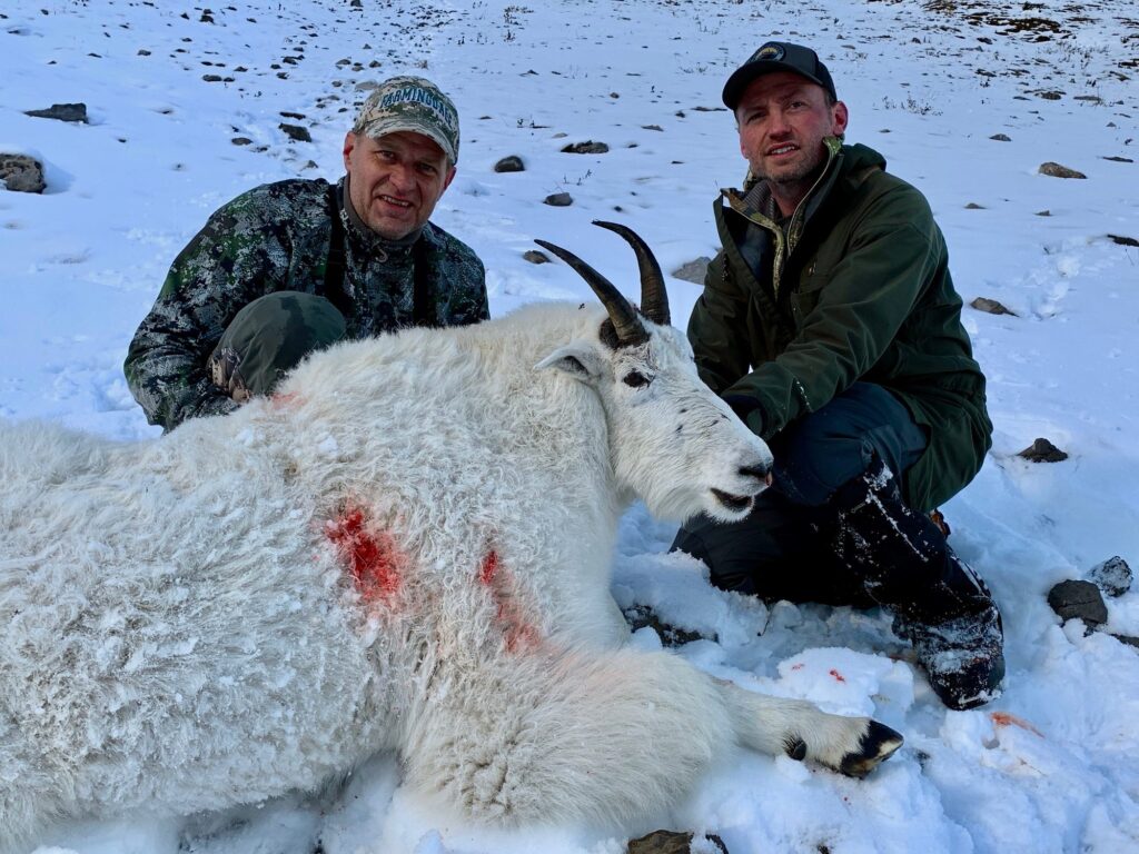 elk-valley-bighorn-game-Goats-IMG_0960-2000px-c82