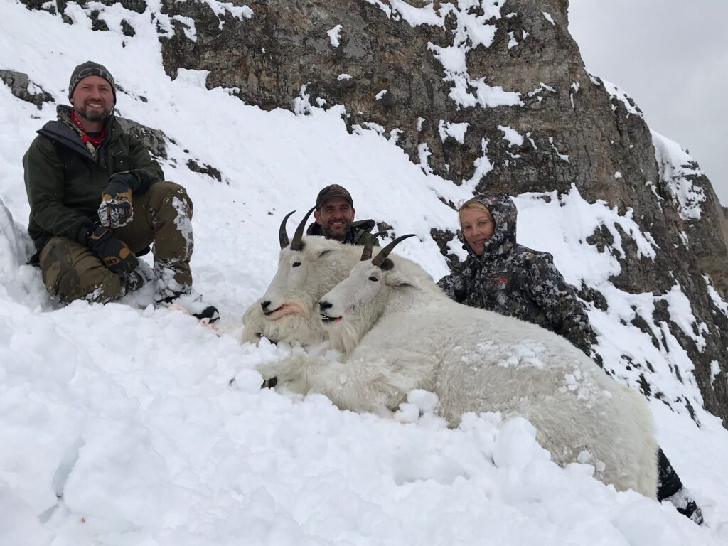 elk-valley-bighorn-game-Goats-IMG_1516-2000px-c82