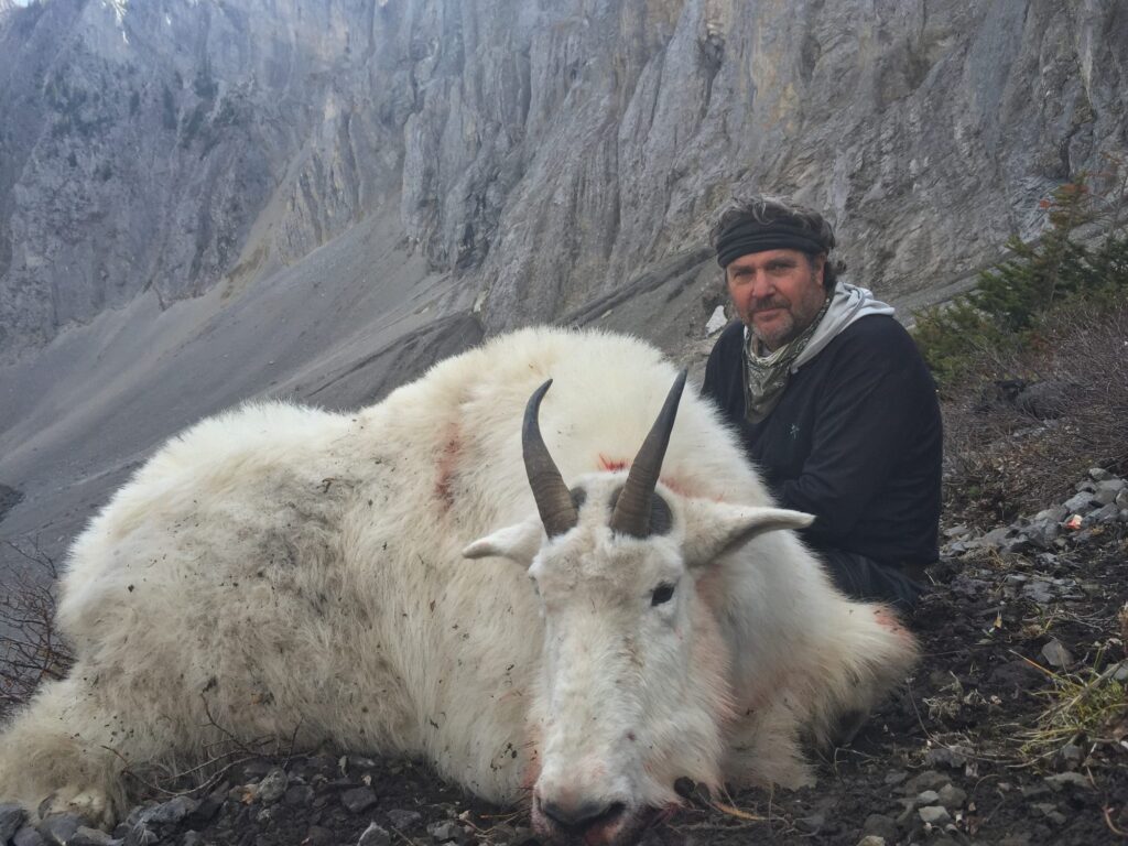 elk-valley-bighorn-game-Goats-IMG_1742-2000px-c82