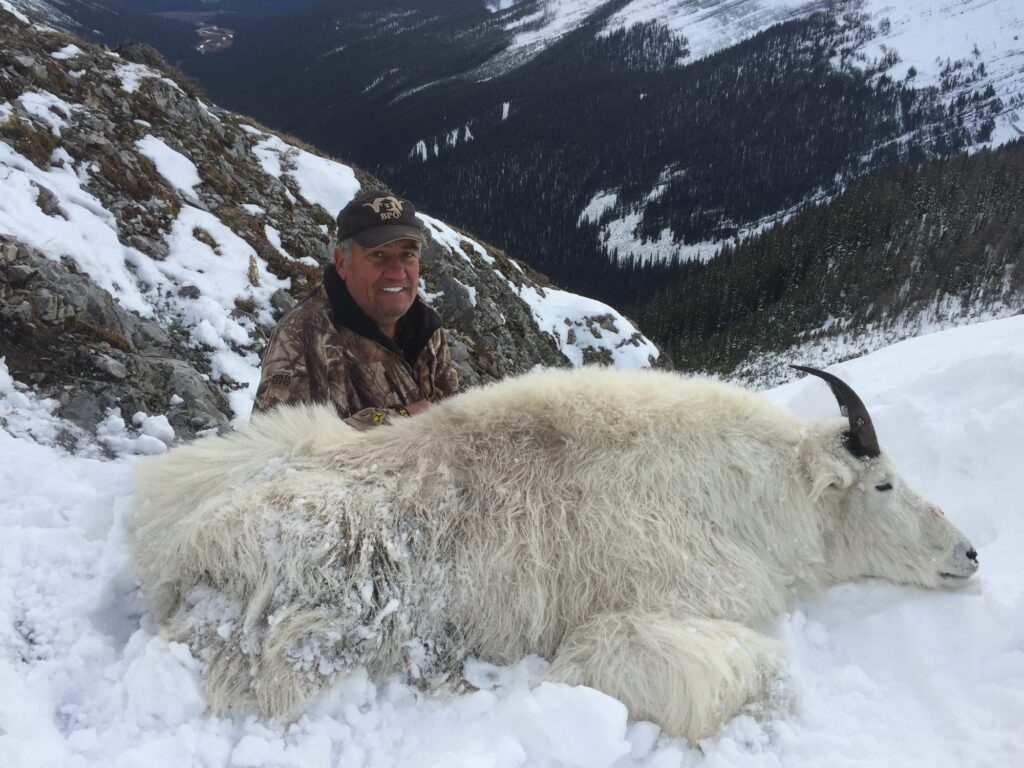 elk-valley-bighorn-game-Goats-IMG_1752-2000px-c82