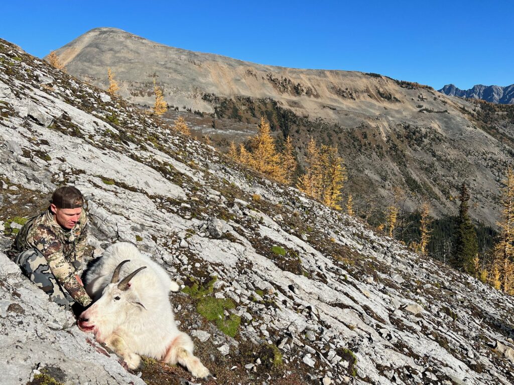 elk-valley-bighorn-game-Goats-IMG_4073-2000px-c82