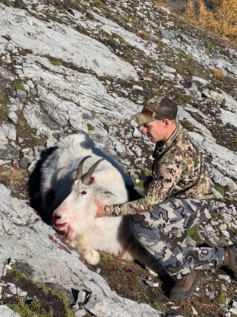 elk-valley-bighorn-game-Goats-IMG_7461-2000px-c82