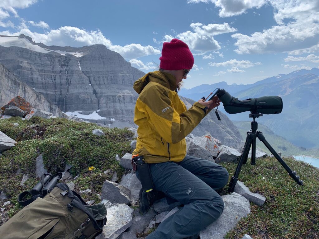 elk-valley-bighorn-wildlife-IMG_0303-2000px-c82