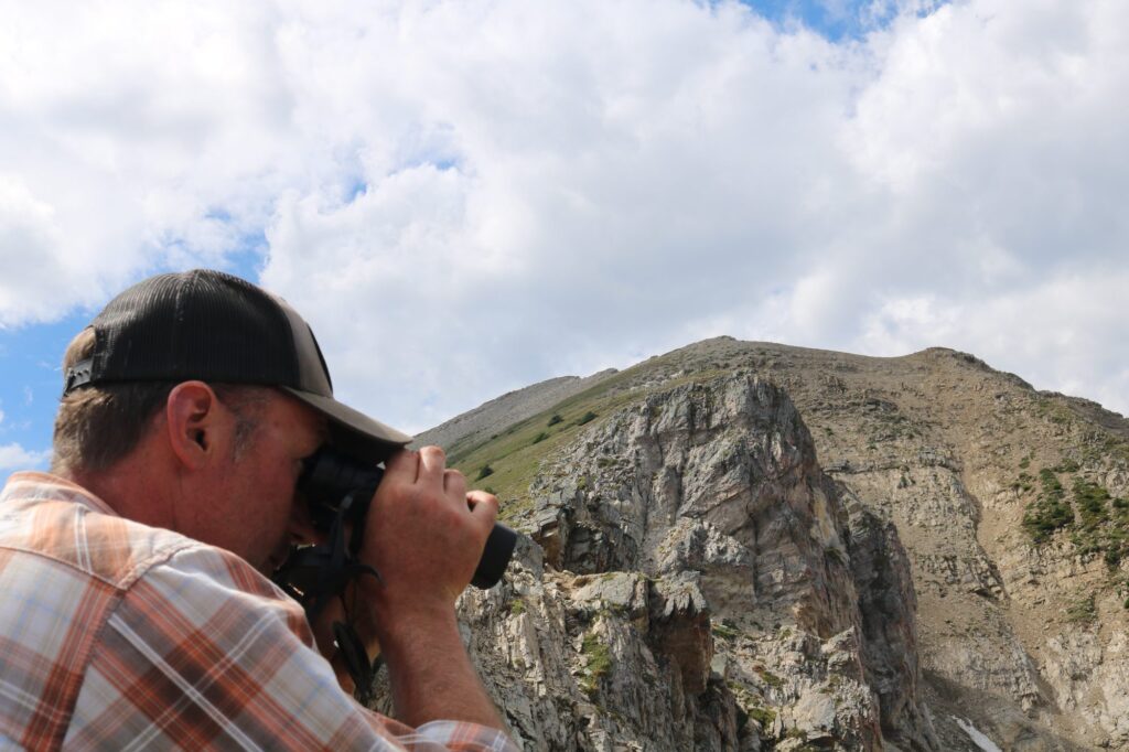 elk-valley-bighorn-wildlife-IMG_1431-2000px-c82