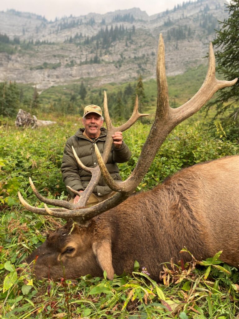 elk-valley-bighorn-elk 2023-85p-2000px