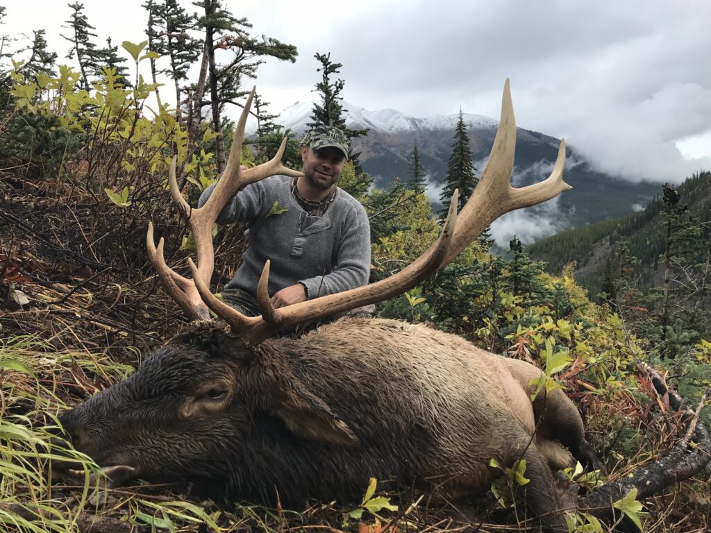 elk-valley-bighorn-elk-IMG_0599-85p-2000px