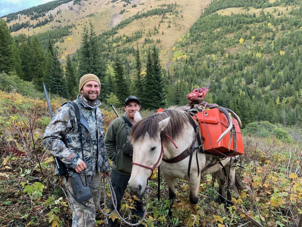 elk-valley-bighorn-elk-IMG_0904-scaled-85p-2000px