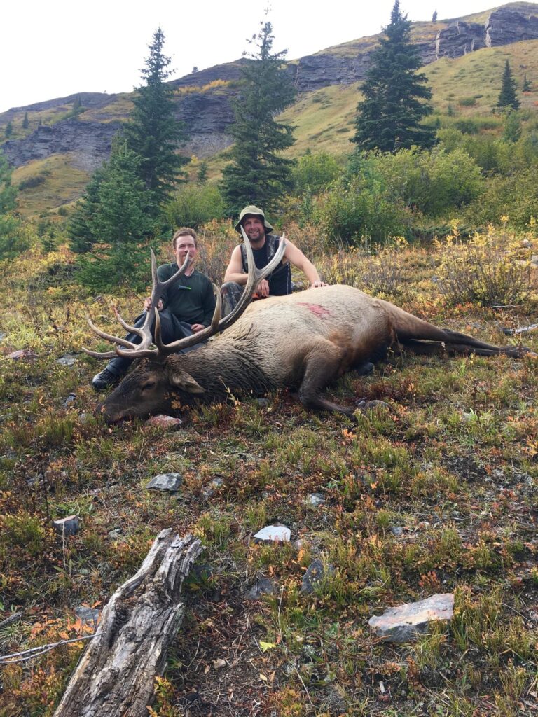 elk-valley-bighorn-elk-IMG_8303-scaled-85p-2000px