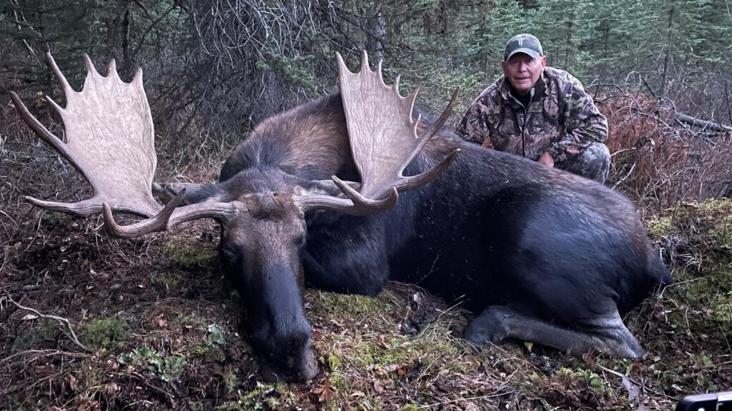 elk-valley-bighorn-moose-85p-2000px