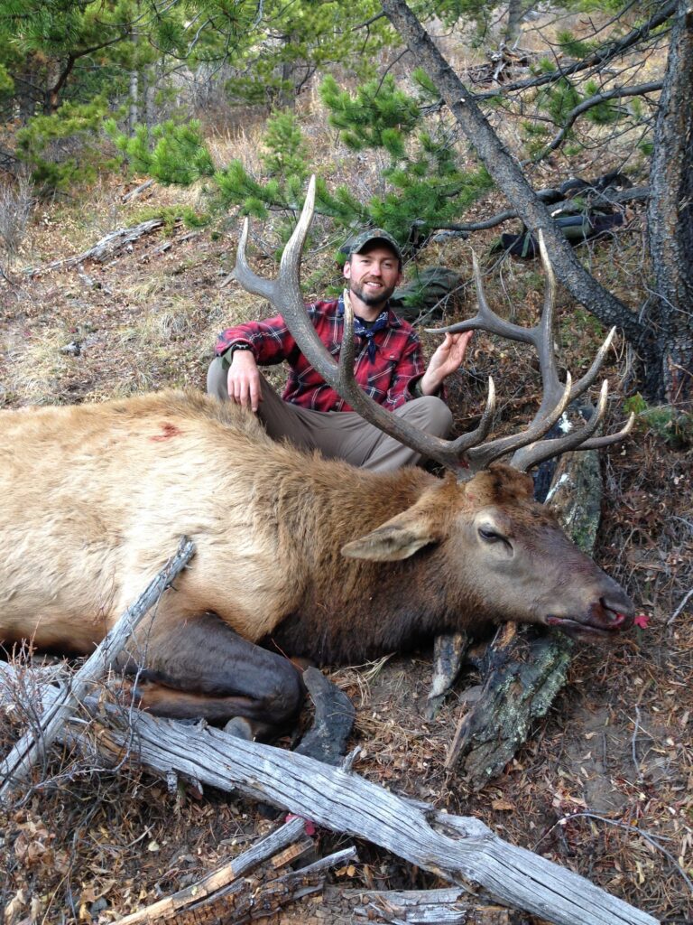 elk-valley-bighorn-new ELK - IMG_1330-85p-2000px