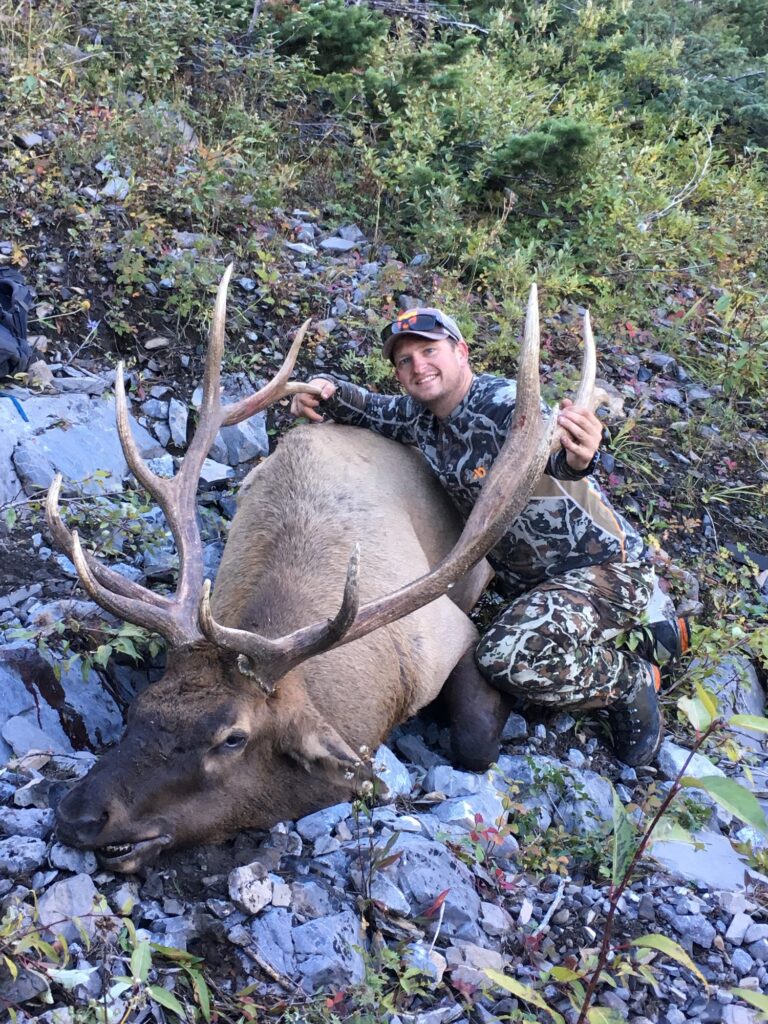 elk-valley-bighorn-new elk IMG_2190-85p-2000px