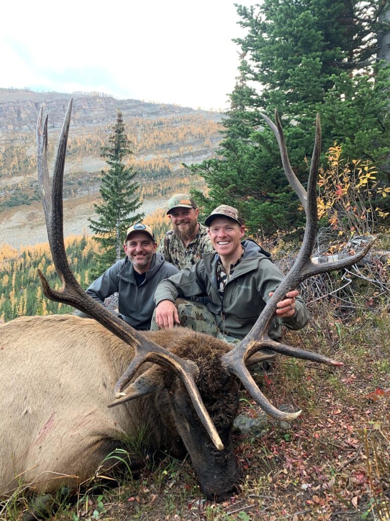 elk-valley-bighorn-new elk hero - 2022 elk-85p-2000px